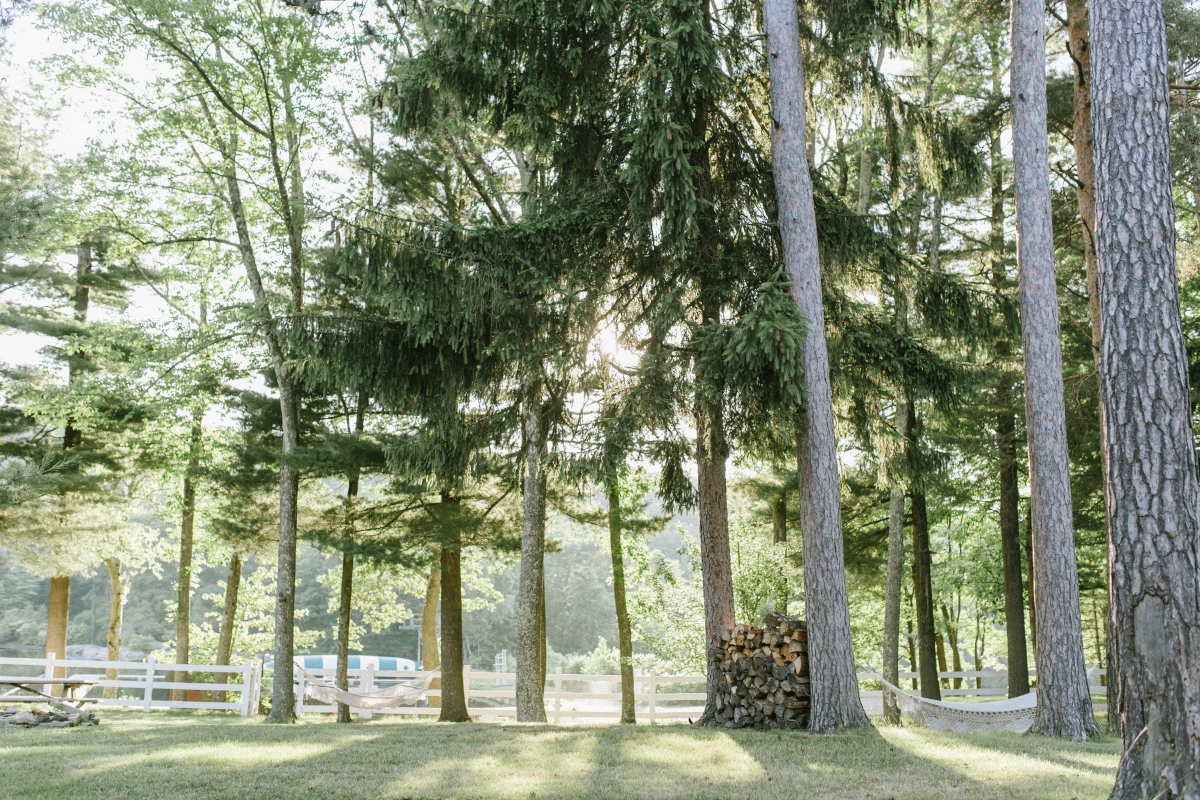 Cedar Lakes Estate Summer Wedding Port Jervis NY Camp Inspired Wood Forest Trees Greenery Just married Golf Cart happy love golden light bright lake 