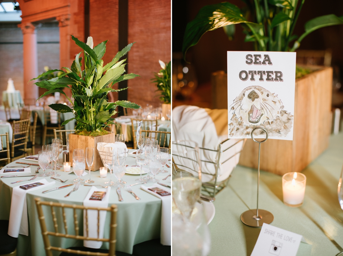Sea Otter Centerpiece Table Cards Peace Lilies Bronx Zoo Wedding Animal Lovers Keystone Endangered Species Environmentalists No Waste Wedding