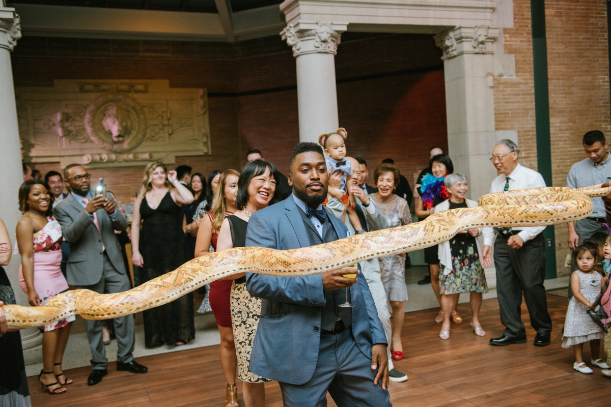 giant snake limbo reception candids Bronx Zoo Wedding Animal Lovers Keystone Endangered Species Environmentalists No Waste Wedding