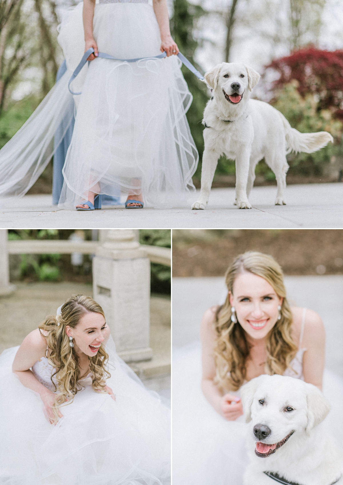 Bride with her dog 