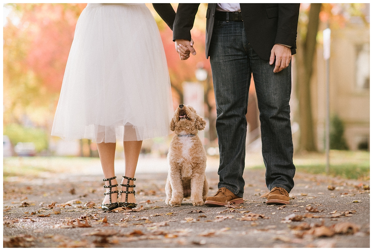Engagement Photos with Pets Dogs