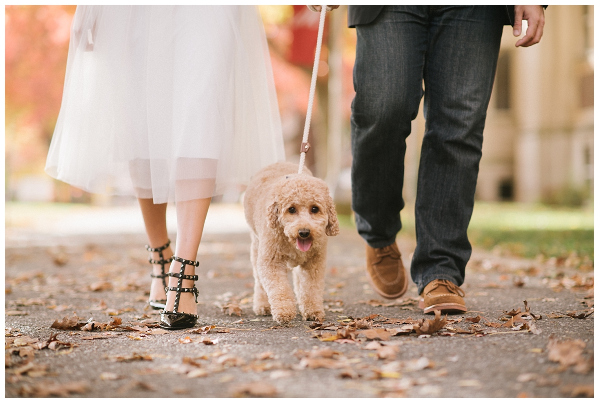 Engagement Photos with Pets Dogs
